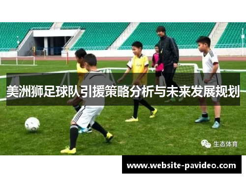 美洲狮足球队引援策略分析与未来发展规划
