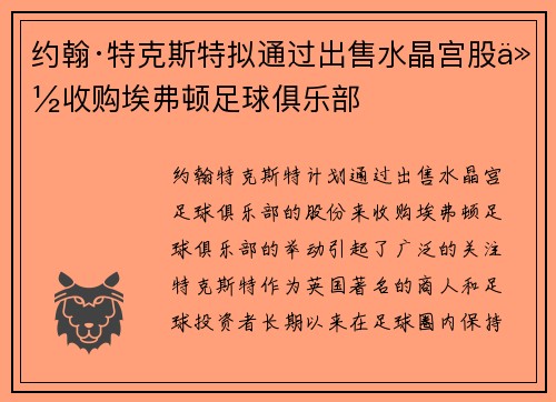 约翰·特克斯特拟通过出售水晶宫股份收购埃弗顿足球俱乐部